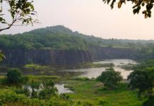 4-5 मिनिटे वाचवण्यासाठी प्रस्तावित रस्त्यामुळे वेताळ टेकडीला धोका निर्माण झाला आहे